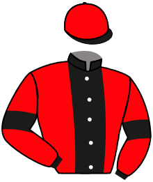 casaque portée par Le Clerc Val. jockey du cheval de course DIFFLY RIVER ANN, information pmu ZETURF