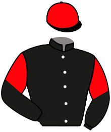 casaque portée par Lepage Axe. jockey du cheval de course KEEP YOUR HEAD UP, information pmu ZETURF