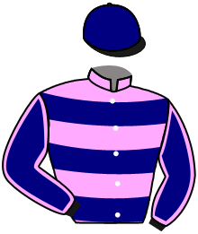 casaque portée par Zuliani L. jockey du cheval de course GRAFITY BAIE, information pmu ZETURF