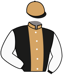 casaque portée par Coupu A. jockey du cheval de course INLE DE LA NOVERIE, information pmu ZETURF