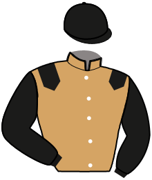casaque portée par Bouyne Q. jockey du cheval de course ILDO DU VIVIER, information pmu ZETURF