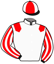 casaque portée par Ducos Th. jockey du cheval de course LOVE QUEEN, information pmu ZETURF