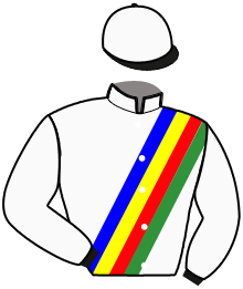 casaque portée par Ensch N. jockey du cheval de course LYNETTE CAT, information pmu ZETURF