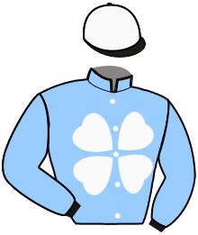 casaque portée par Sorel J. Ch. jockey du cheval de course LIBERTY DU MORTIER, information pmu ZETURF
