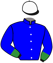 casaque portée par Smorgon M. jockey du cheval de course KENZO DU MONT, information pmu ZETURF