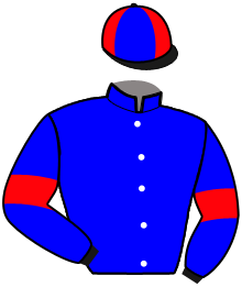 casaque portée par Minopoli Jr Mar. jockey du cheval de course DIVA DEL RONCO, information pmu ZETURF