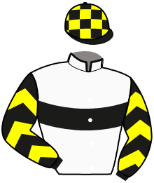 casaque portée par Busnel K. jockey du cheval de course GOLZAC DE REM, information pmu ZETURF