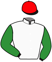 casaque portée par Cingland S. jockey du cheval de course SILVER BULLIT, information pmu ZETURF