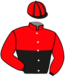 casaque portée par Bouyne Q. jockey du cheval de course HASHTAG DE TAGOR, information pmu ZETURF
