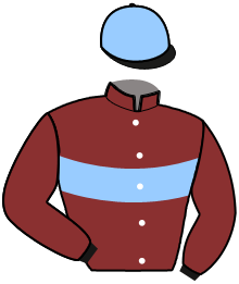 casaque portée par Pacaud P. jockey du cheval de course KALI DES LANDIERS, information pmu ZETURF