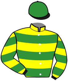casaque portée par Lamy R. jockey du cheval de course JUMEIGE DE GODREL, information pmu ZETURF