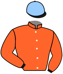 casaque portée par Germain Mlle M. jockey du cheval de course SCARLET VALENTINE, information pmu ZETURF