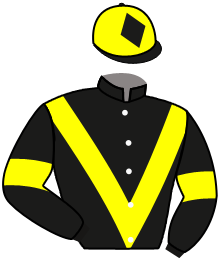 casaque portée par Breux D. jockey du cheval de course BEN DE DIANE, information pmu ZETURF