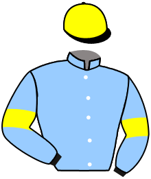 casaque portée par Soumillon C. jockey du cheval de course SEANNER, information pmu ZETURF