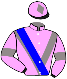casaque portée par Gavilan Ale. jockey du cheval de course NAUTIQUE, information pmu ZETURF