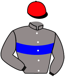 casaque portée par Seguy V. jockey du cheval de course JAKARTA TROIS, information pmu ZETURF