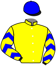 casaque portée par Chenet V. jockey du cheval de course MARCHE SUR L'O, information pmu ZETURF
