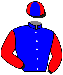 casaque portée par Lemaitre A. jockey du cheval de course BUBBLE ZARA, information pmu ZETURF