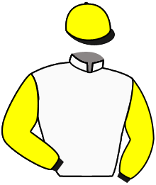 casaque portée par Molins Mme Amb. jockey du cheval de course MISTER DES PLACES, information pmu ZETURF