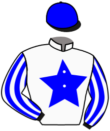 casaque portée par Salmon D. jockey du cheval de course MANSONNIENNE, information pmu ZETURF