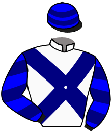 casaque portée par Vilchien A. jockey du cheval de course SEVEN TIMER, information pmu ZETURF