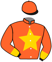 casaque portée par Favriaux Mal. jockey du cheval de course LICHTSTERN, information pmu ZETURF