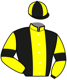 casaque portée par Gaborit L. jockey du cheval de course MONALISA CELO, information pmu ZETURF casaque portée par Gaborit L. jockey du cheval de course MONALISA CELO, information pmu ZETURF