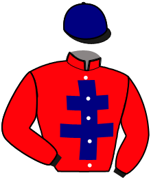 casaque portée par Nivard F. jockey du cheval de course LOUISIANA DU DERBY, information pmu ZETURF