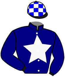 casaque portée par Lessieu G. jockey du cheval de course JUNON DES ROSES, information pmu ZETURF