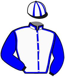 casaque portée par Szirmay E. jockey du cheval de course JOYCE D'AVEZE, information pmu ZETURF