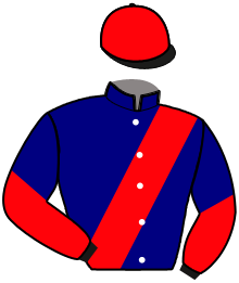 casaque portée par Dudouit M. jockey du cheval de course HOLLISTER KING, information pmu ZETURF