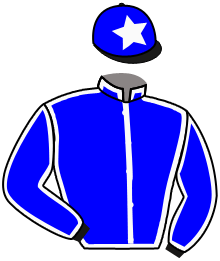 casaque portée par Fallon C. jockey du cheval de course LAKE FOREST, information pmu ZETURF