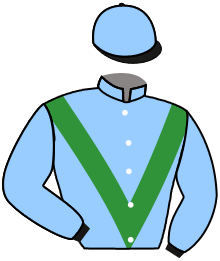 casaque portée par Provost D. jockey du cheval de course LILOUCHKA, information pmu ZETURF