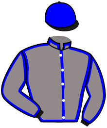 casaque portée par D' Andigne O. jockey du cheval de course SENATOR, information pmu ZETURF