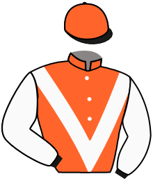 casaque portée par Breux D. jockey du cheval de course SPEED CHOP, information pmu ZETURF