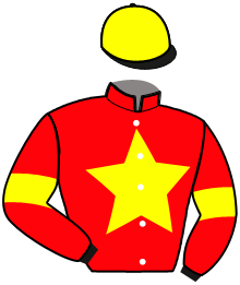 casaque portée par Verva Pie. Y. jockey du cheval de course JARDY DES LANDES, information pmu ZETURF