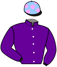 casaque portée par Verva Pie. Y. jockey du cheval de course LAHIRE DE NAPPES, information pmu ZETURF