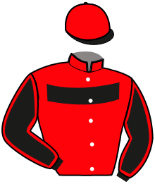 casaque portée par Olivier S. jockey du cheval de course LACERTOSUS, information pmu ZETURF