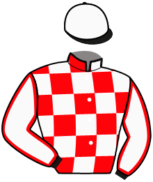 casaque portée par Martens C. jockey du cheval de course HAVANE DE COUDDE, information pmu ZETURF