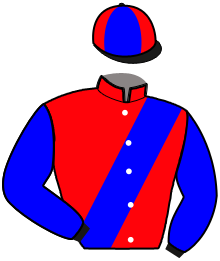 casaque portée par Thomain D. jockey du cheval de course IRMINIO KILY, information pmu ZETURF
