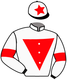casaque portée par Boutin Hug. jockey du cheval de course FORCEIGHT, information pmu ZETURF