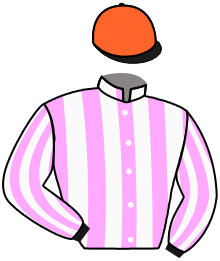 casaque portée par Michel Mlle Mic. jockey du cheval de course BANSHIE, information pmu ZETURF