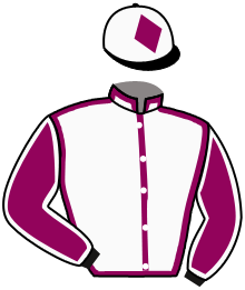 casaque portée par Planque S. jockey du cheval de course LOUISVILLE, information pmu ZETURF
