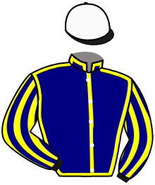 casaque portée par Dubourg Mme Ear. jockey du cheval de course IMAGINAIRE, information pmu ZETURF