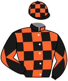 casaque portée par Lemiere Mr Rom. jockey du cheval de course JALOUSIE D'AINAY, information pmu ZETURF