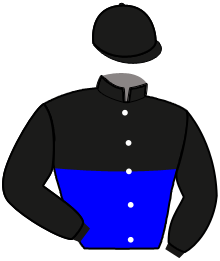 casaque portée par Dengis Ala. jockey du cheval de course LORY DE VIVE, information pmu ZETURF