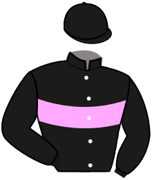 casaque portée par Verva L. jockey du cheval de course KINGSTON DU GOSIER, information pmu ZETURF