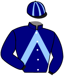 casaque portée par Peltier S. jockey du cheval de course GALOPIN DE BLOT, information pmu ZETURF