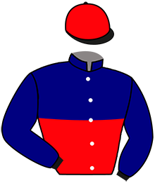 casaque portée par Briand Thé. jockey du cheval de course MAMOUNE DE VISAIS, information pmu ZETURF