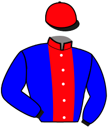 casaque portée par Hassid Y. jockey du cheval de course HELIOS DU TAY, information pmu ZETURF